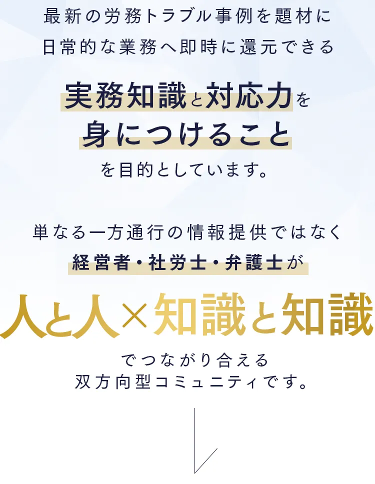ゼミの内容